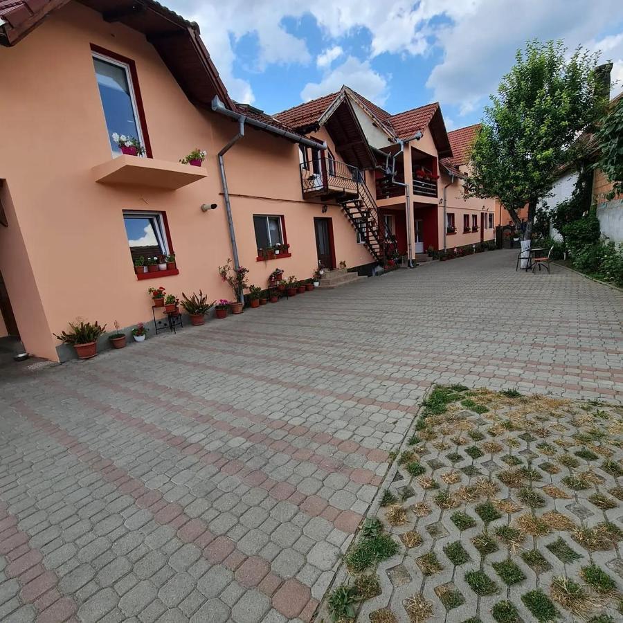 Vila Vladut Zărneşti Exterior foto