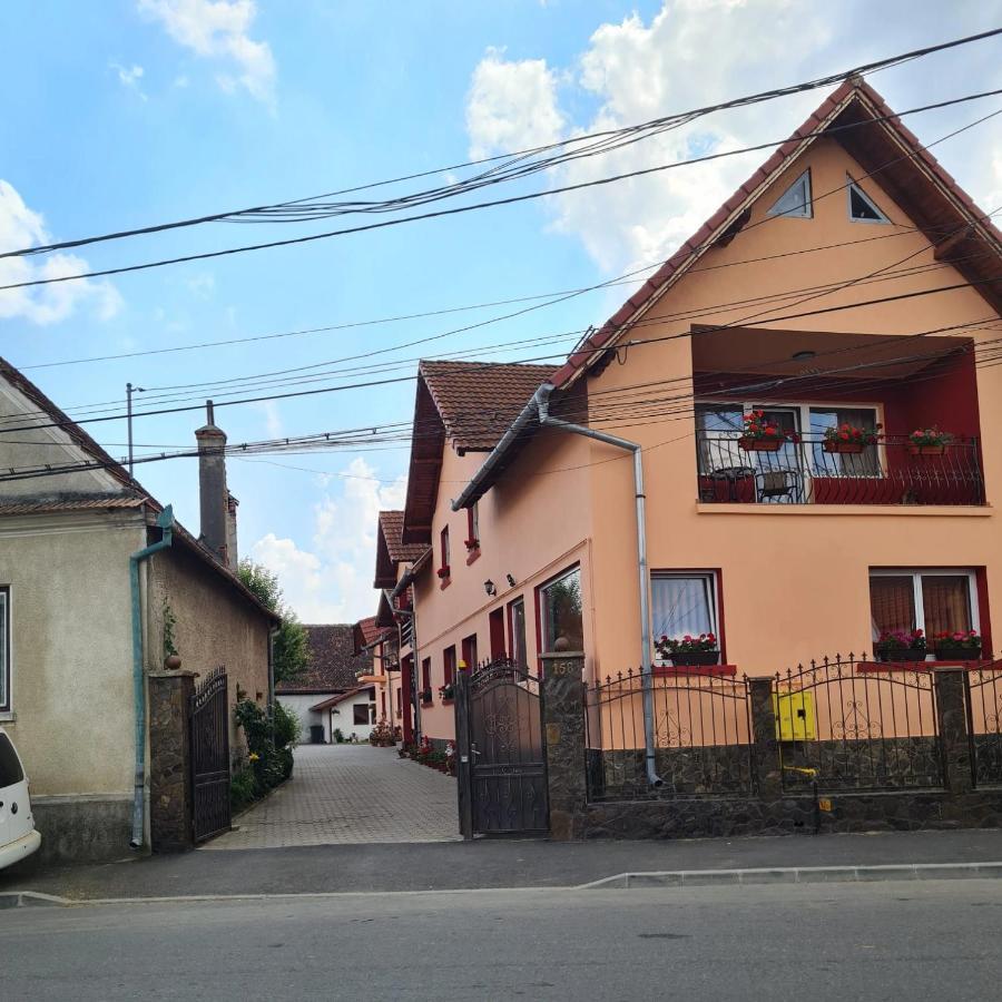 Vila Vladut Zărneşti Exterior foto