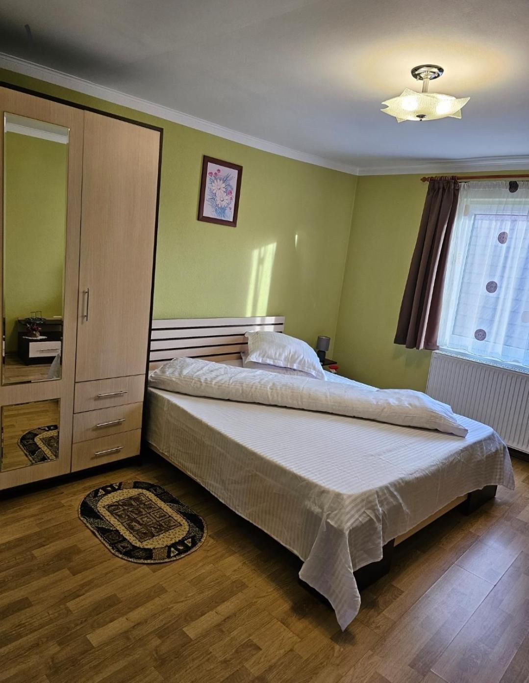 Vila Vladut Zărneşti Exterior foto