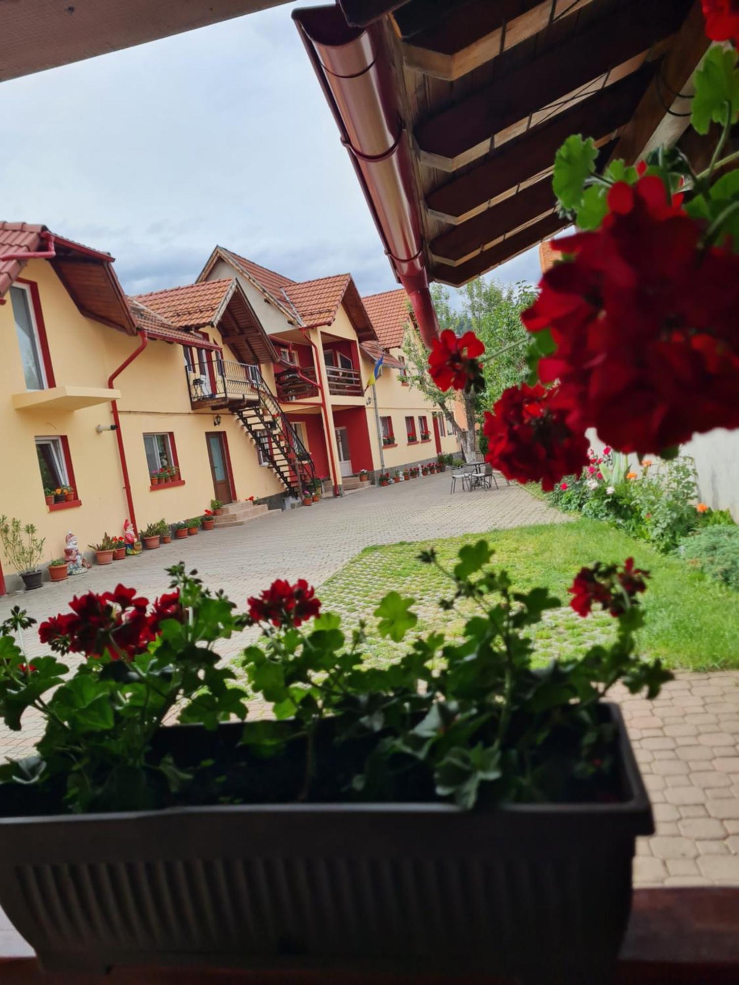 Vila Vladut Zărneşti Exterior foto